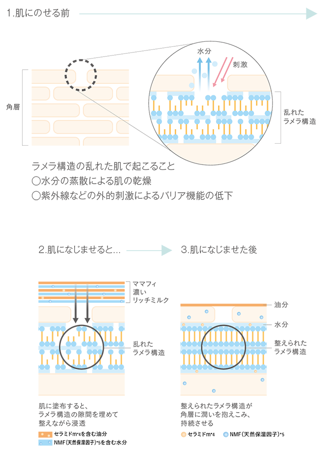 モイストミルフィーユ処方