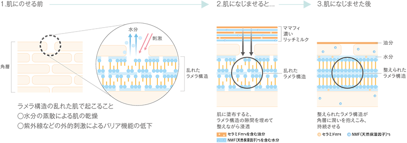 モイストミルフィーユ処方