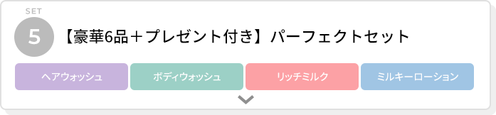 【豪華6品＋プレゼント付き】パーフェクトセット