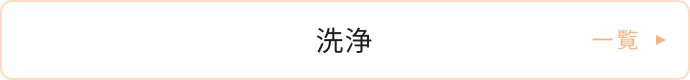 洗浄一覧
